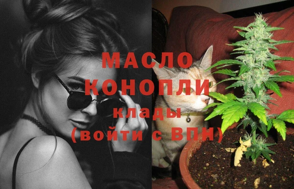 винт Инсар
