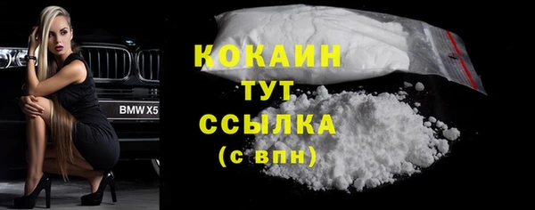 винт Инсар