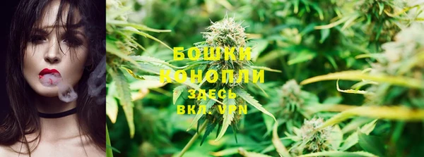 MESCALINE Иннополис
