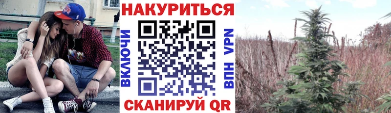 Купить  Жуковский  Конопля White Widow 